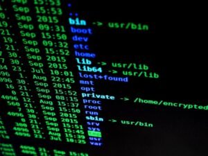 network operations assessment identifiers and ip