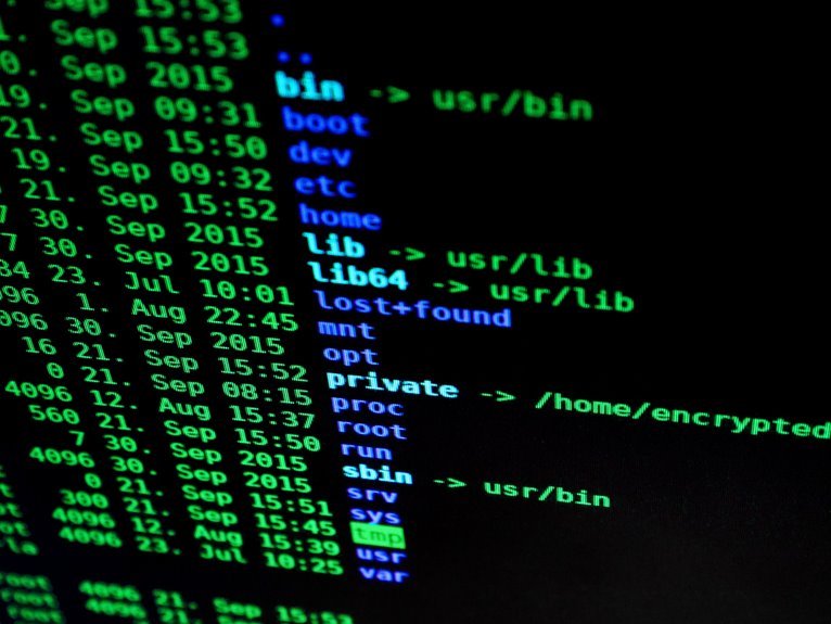 network operations assessment identifiers and ip